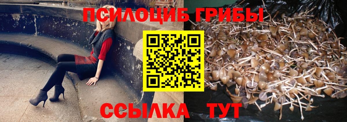 Псилоцибиновые грибы мухоморы  Вход с VPN  наркотики  Галлюциногенные грибы Psilocybe  Якутск 